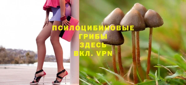 jwh Гусиноозёрск