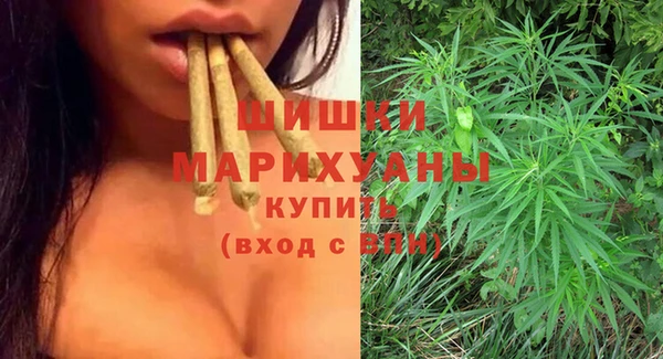 2c-b Горняк