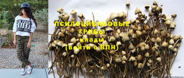 jwh Гусиноозёрск
