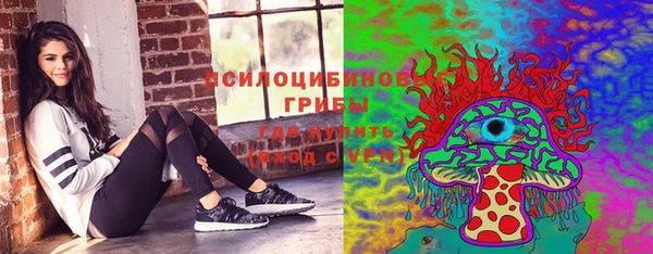 стафф Гусь-Хрустальный